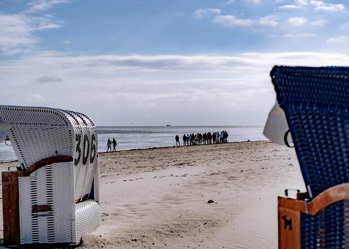 Daire Nordsee Oase 50 0 N Schillig