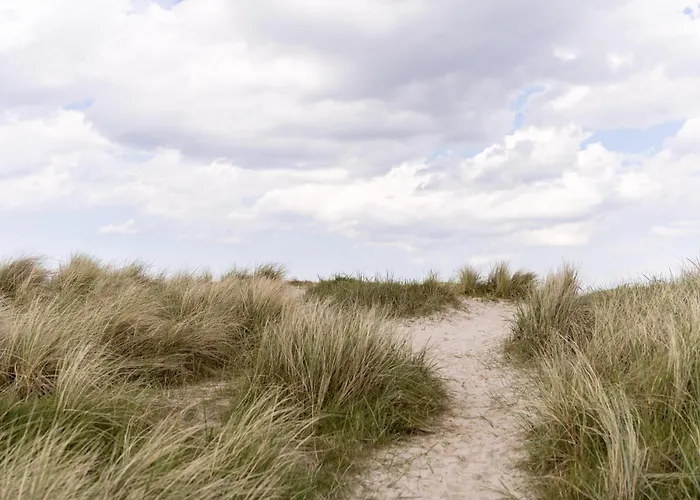 Daire Nordsee Oase 50 0 N Schillig